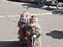 GCO at Mardi Gras 2009 (131).JPG